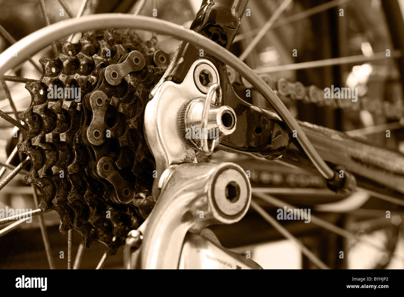 gear case of bicycle