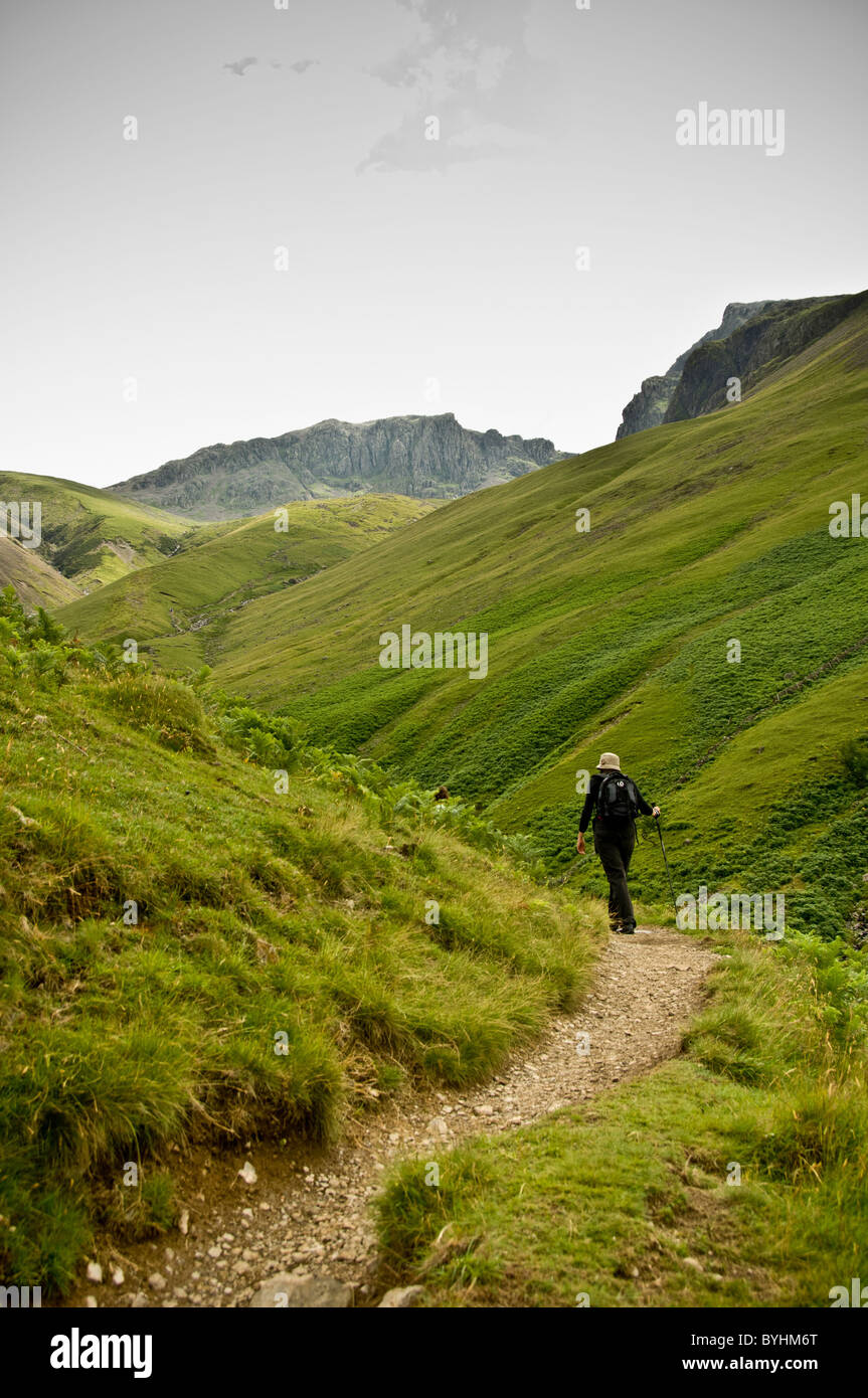 Rear view of a female walker assisted by a trekking pole on the Scafell Pike ascent route Stock Photo