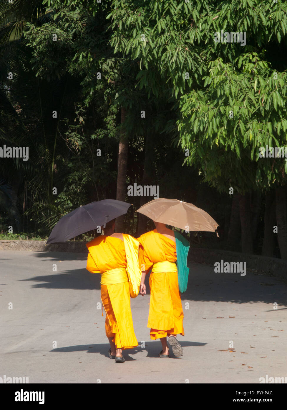 LAOS.MONKS WALKING UNDER SUN WITH PARASOL NEAR A BUDDHIST MONASTERY IN