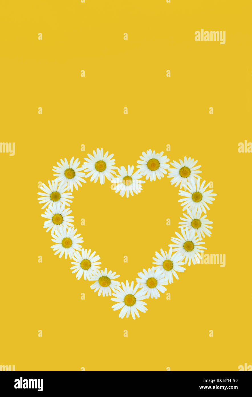 Daisy heart over yellow background Stock Photo - Alamy