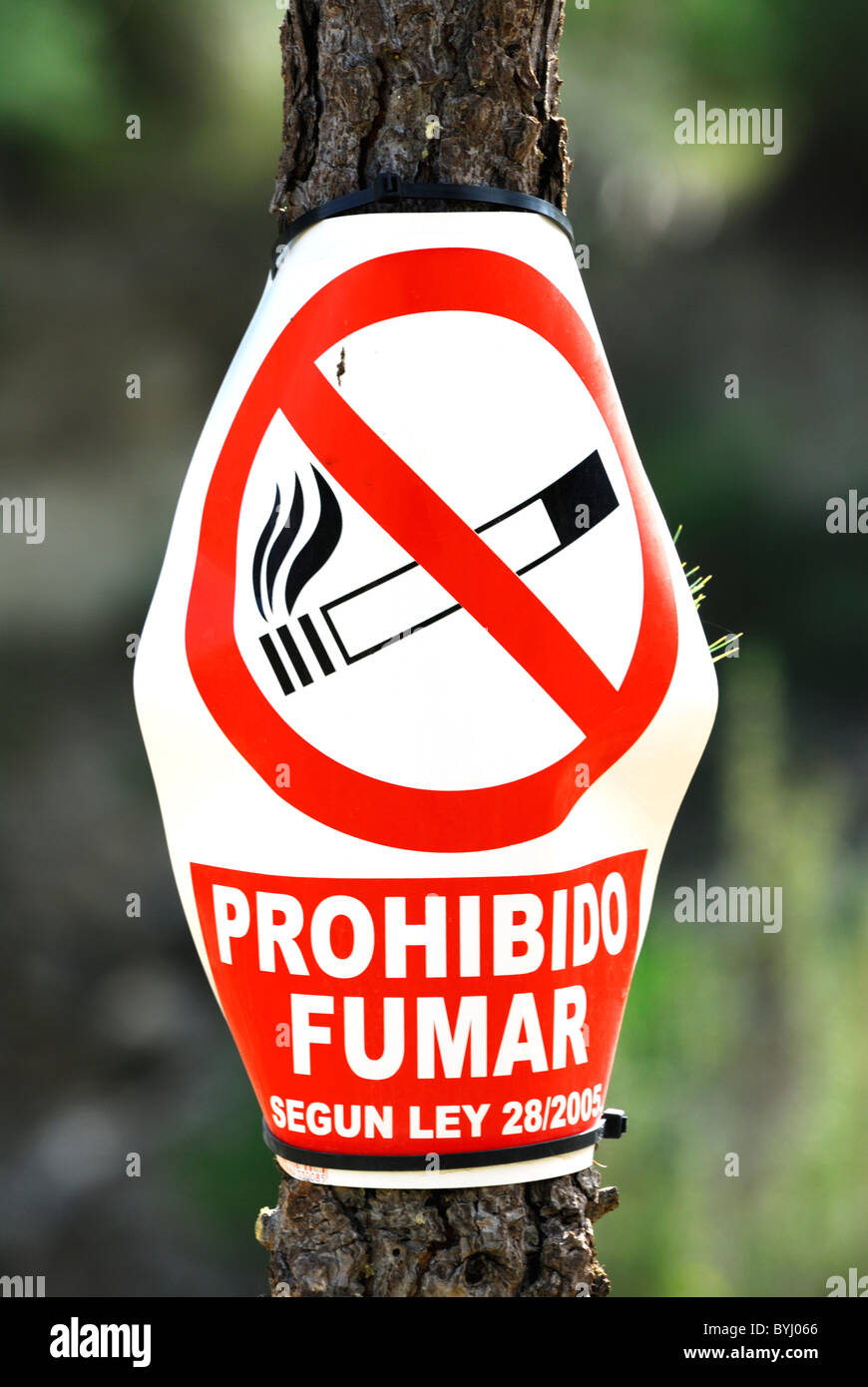 No Smoking Sign on a Tree, Murcia region Spain Stock Photo