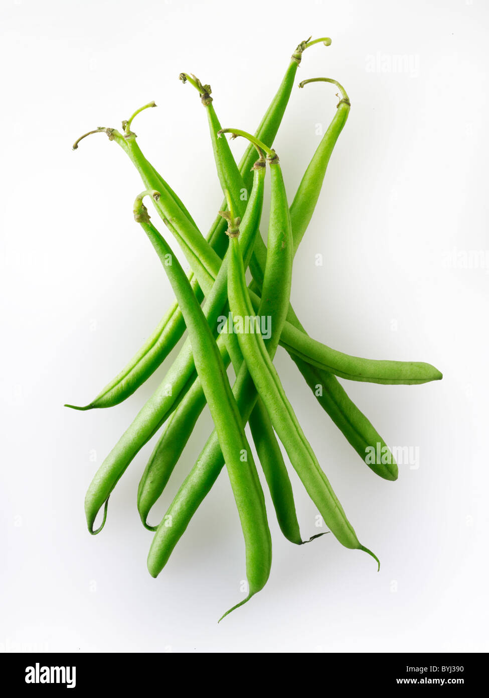 Fresh picked green beans, uncooked and ready to prepare, known as fine beans, haricot vert