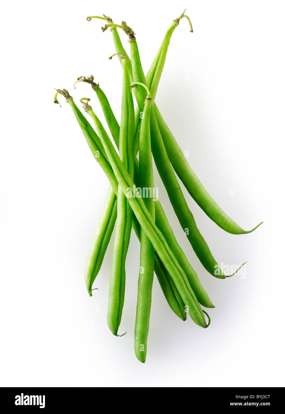 Fresh picked green beans, uncooked and ready to prepare, known as fine beans, haricot vert, french beans. cut out Stock Photo