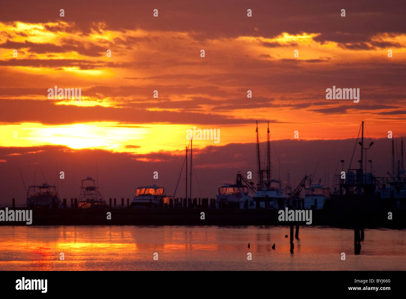 Gulf coast shrimp boats hi-res stock photography and images - Alamy
