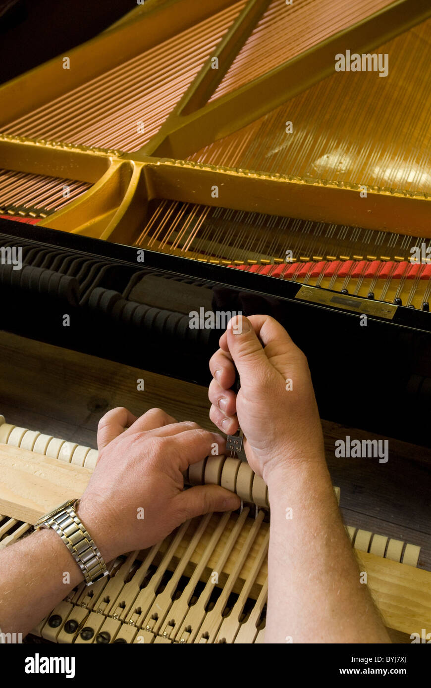 Stringed instrument maker hires stock photography and images Alamy