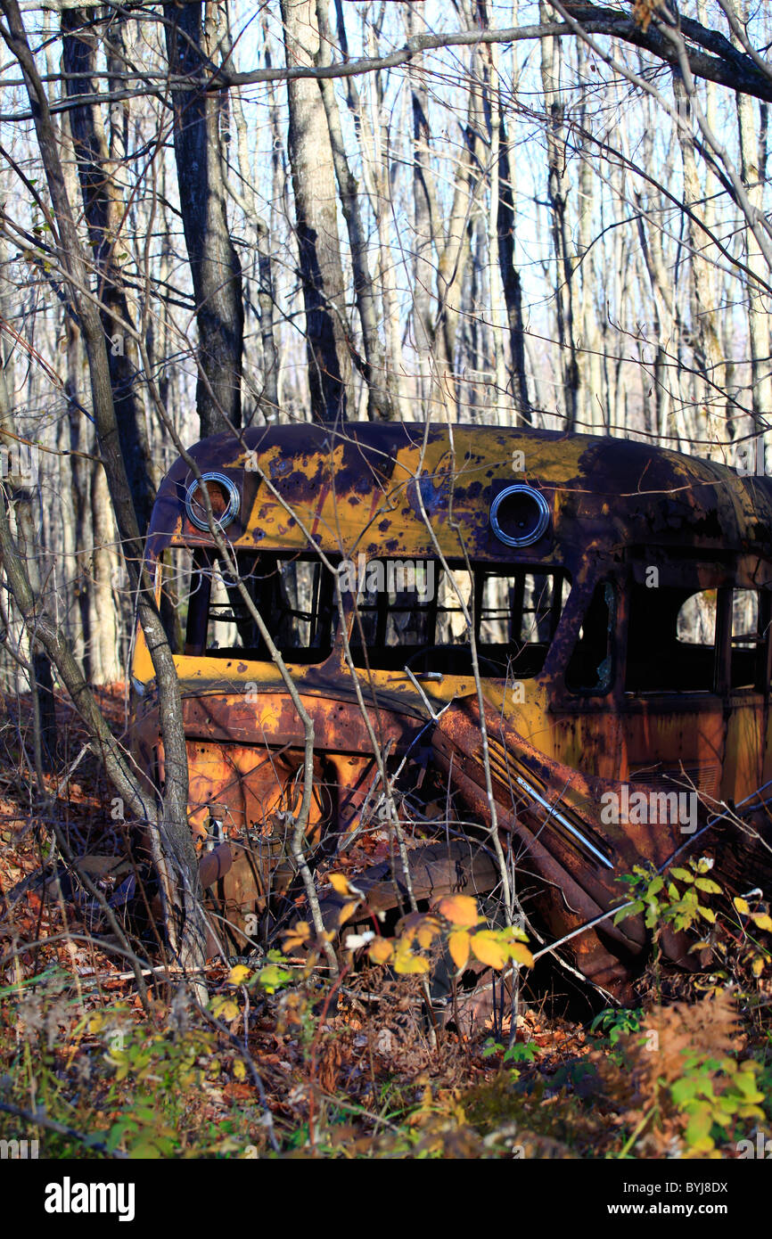 Abandoned School Bus Stock Photo