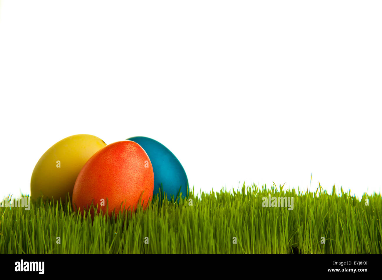 Easter eggs and chickens on green grass on white isolated background Stock Photo