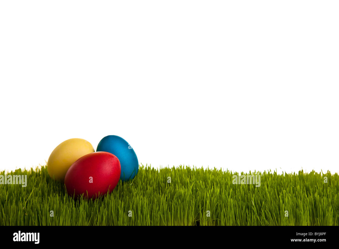 Easter eggs and chickens on green grass on white isolated background Stock Photo