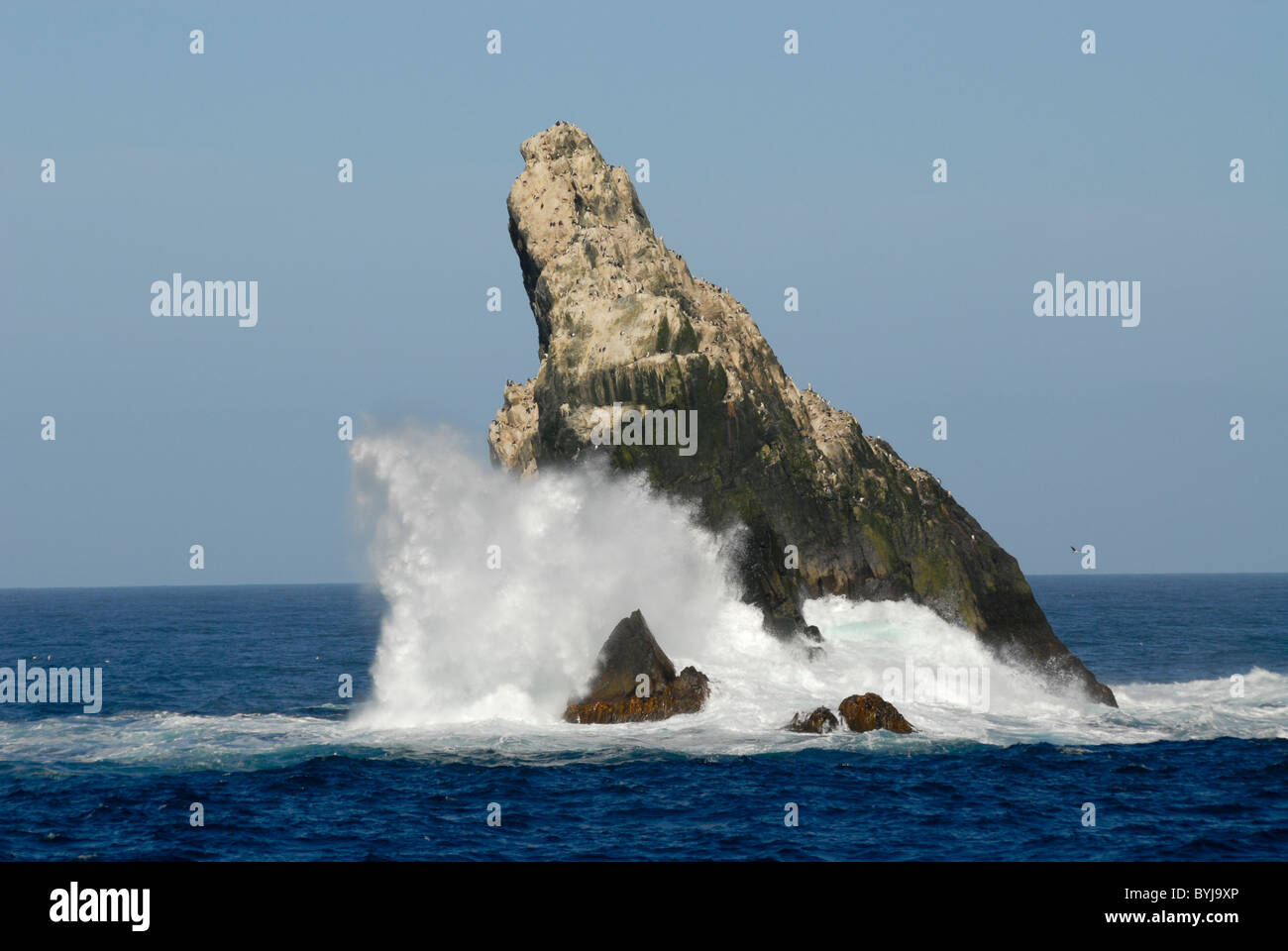 South georgia shag shag rocks hi-res stock photography and images - Alamy