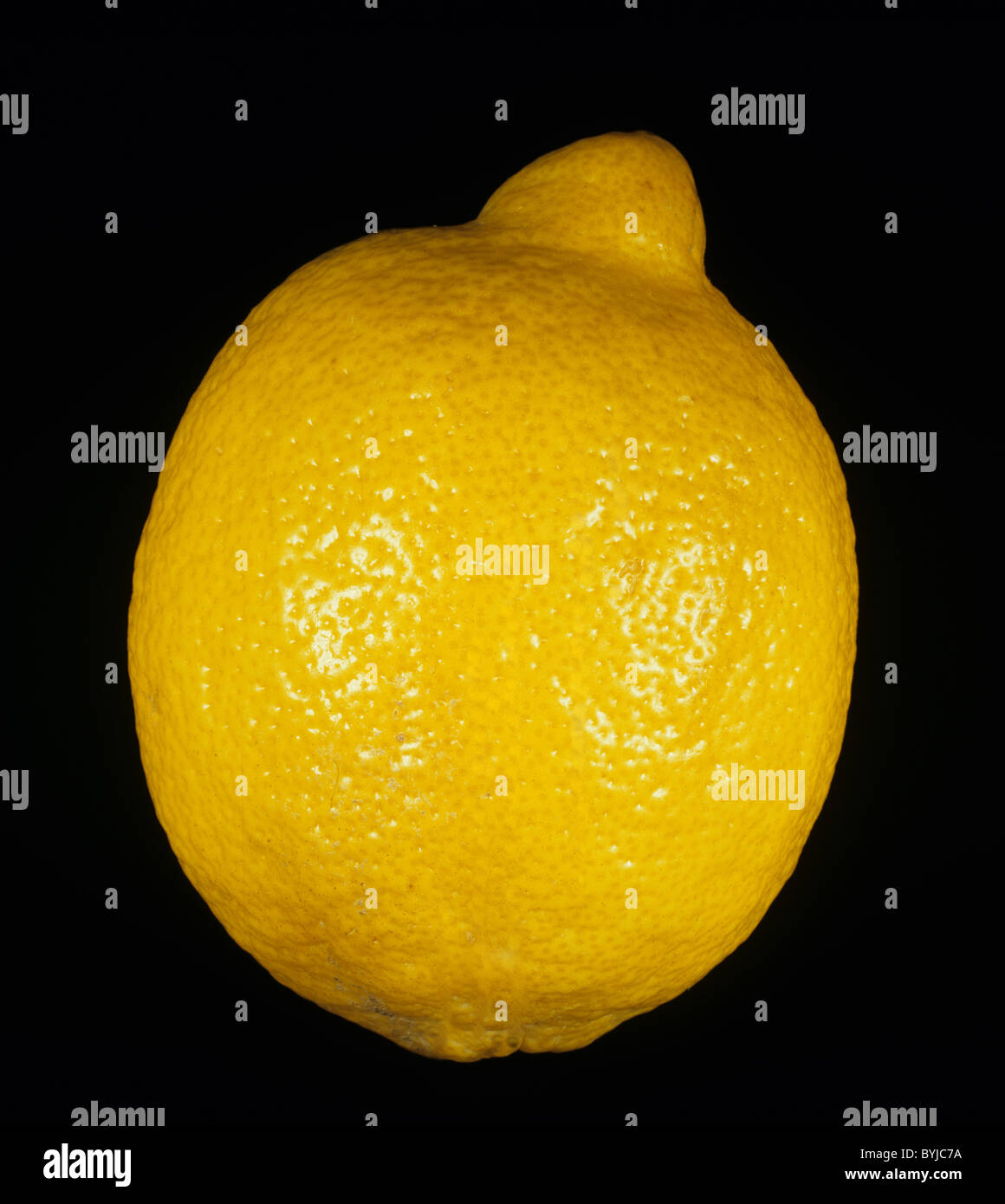 Whole citrus fruit lemon variety Fino Stock Photo