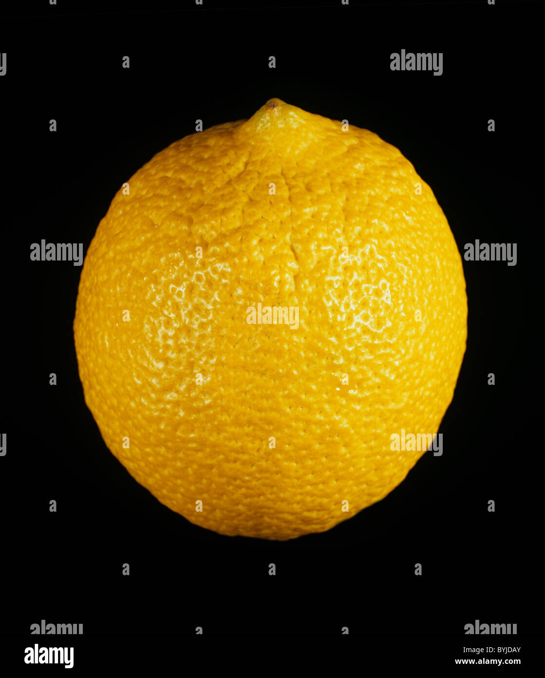 Whole citrus fruit lemon variety Italian Stock Photo