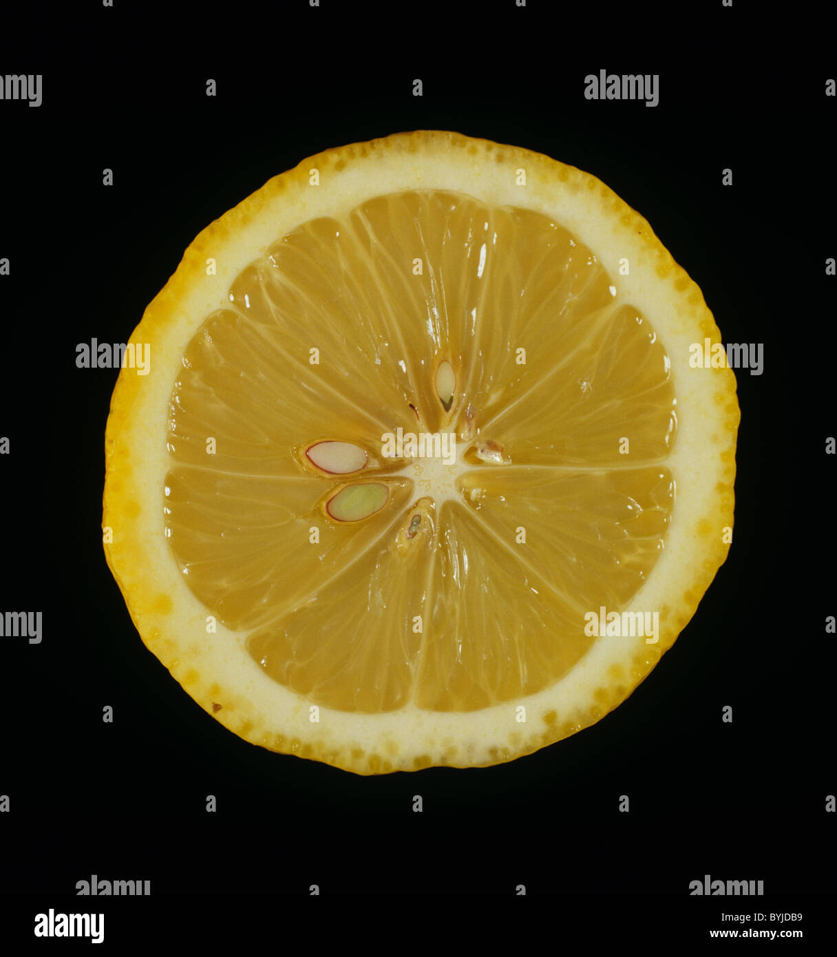 Cut section of a citrus fruit lemon variety Italian Stock Photo