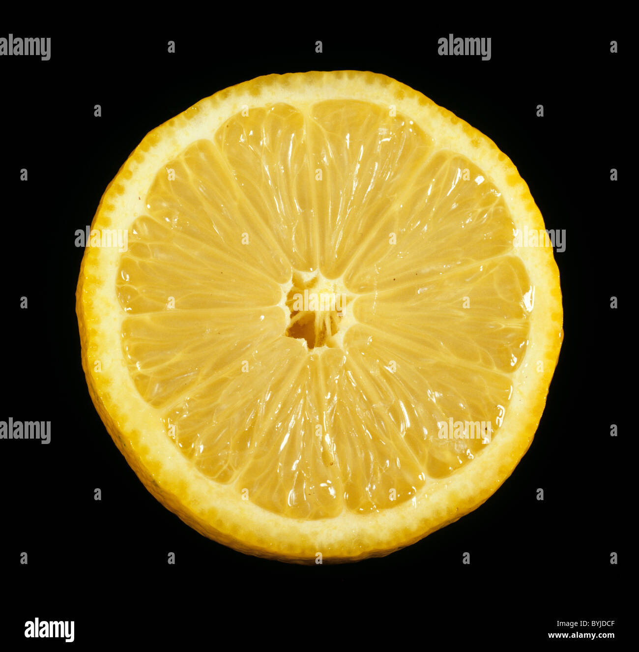 Cut section of a citrus fruit lemon variety Eureka Stock Photo