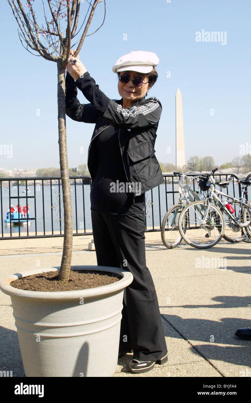 Yoko Ono brings her art project 'Wish Tree' at the National Cherry