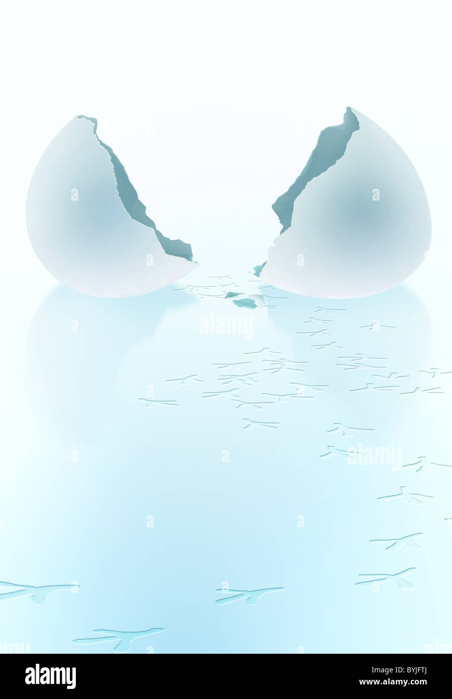 Hatching egg hi-res stock photography and images - Alamy