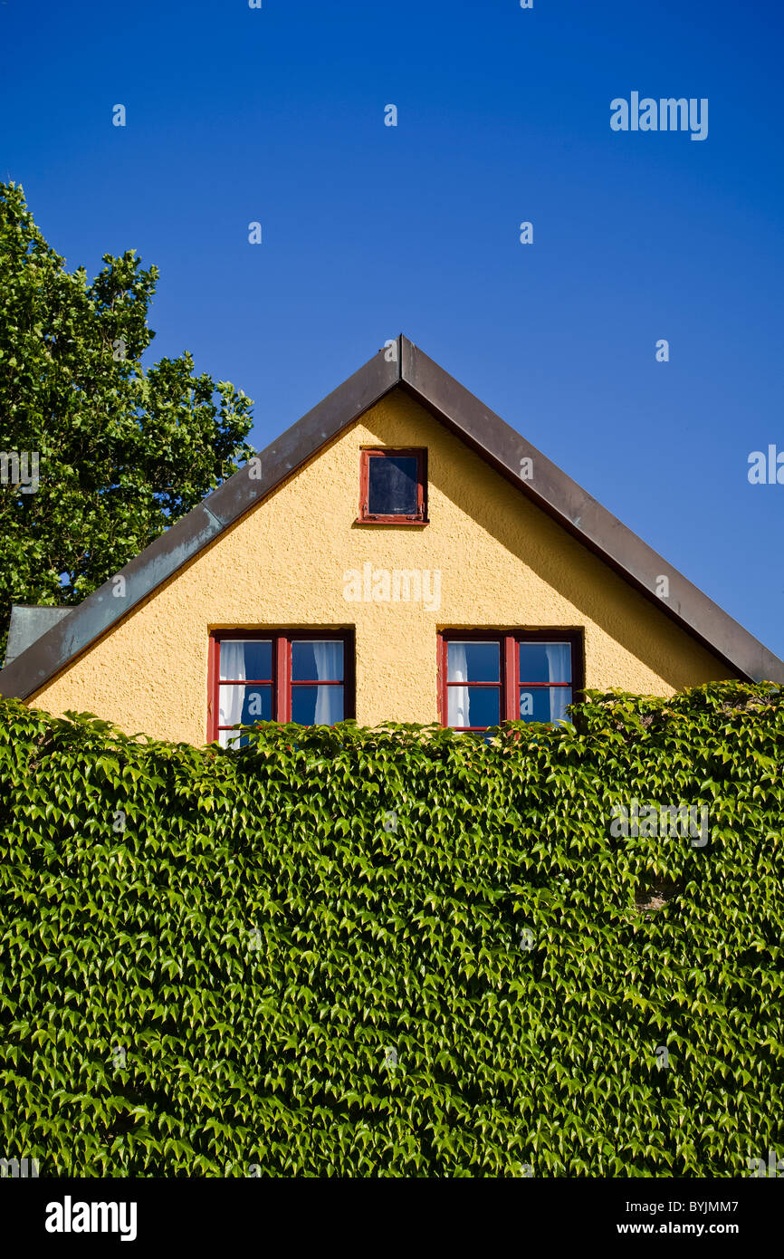 Top of a house covered with leaves Stock Photo - Alamy