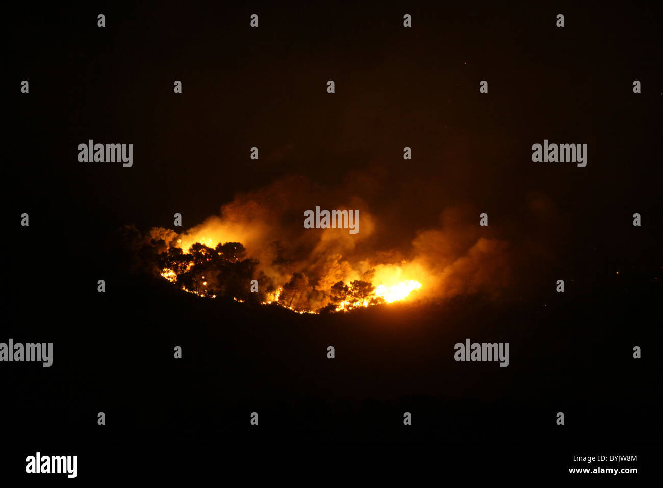 Flames and thick smoke rise from a massive forest fire on Mount Carmel ...