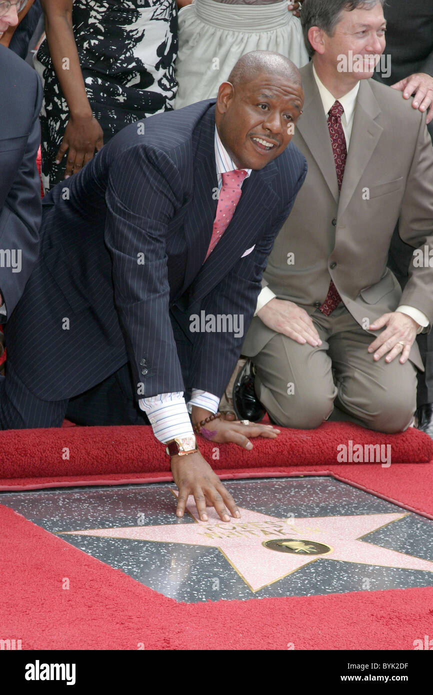 Forest Whitaker Forest Whitaker receives a star on Hollywood Walk of
