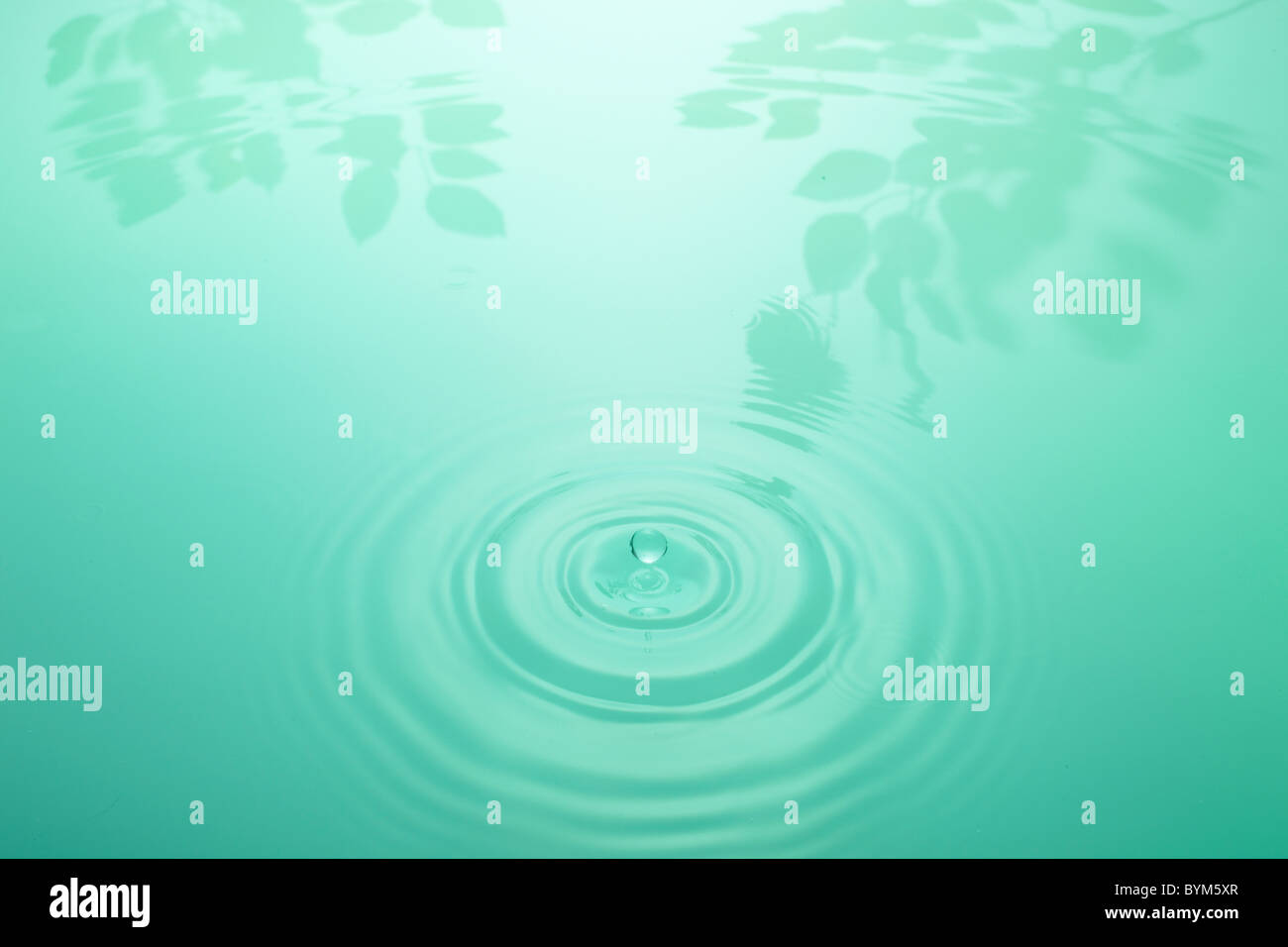 Shadow In Water Shadow and light reflections on water hi-res stock photography and ...