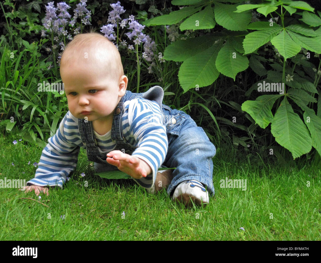 15 month old baby hires stock photography and images Alamy
