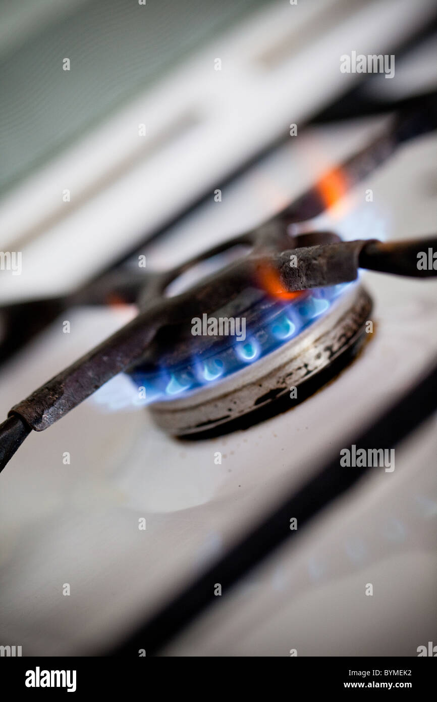 Flames of gas stove Stock Photo Alamy