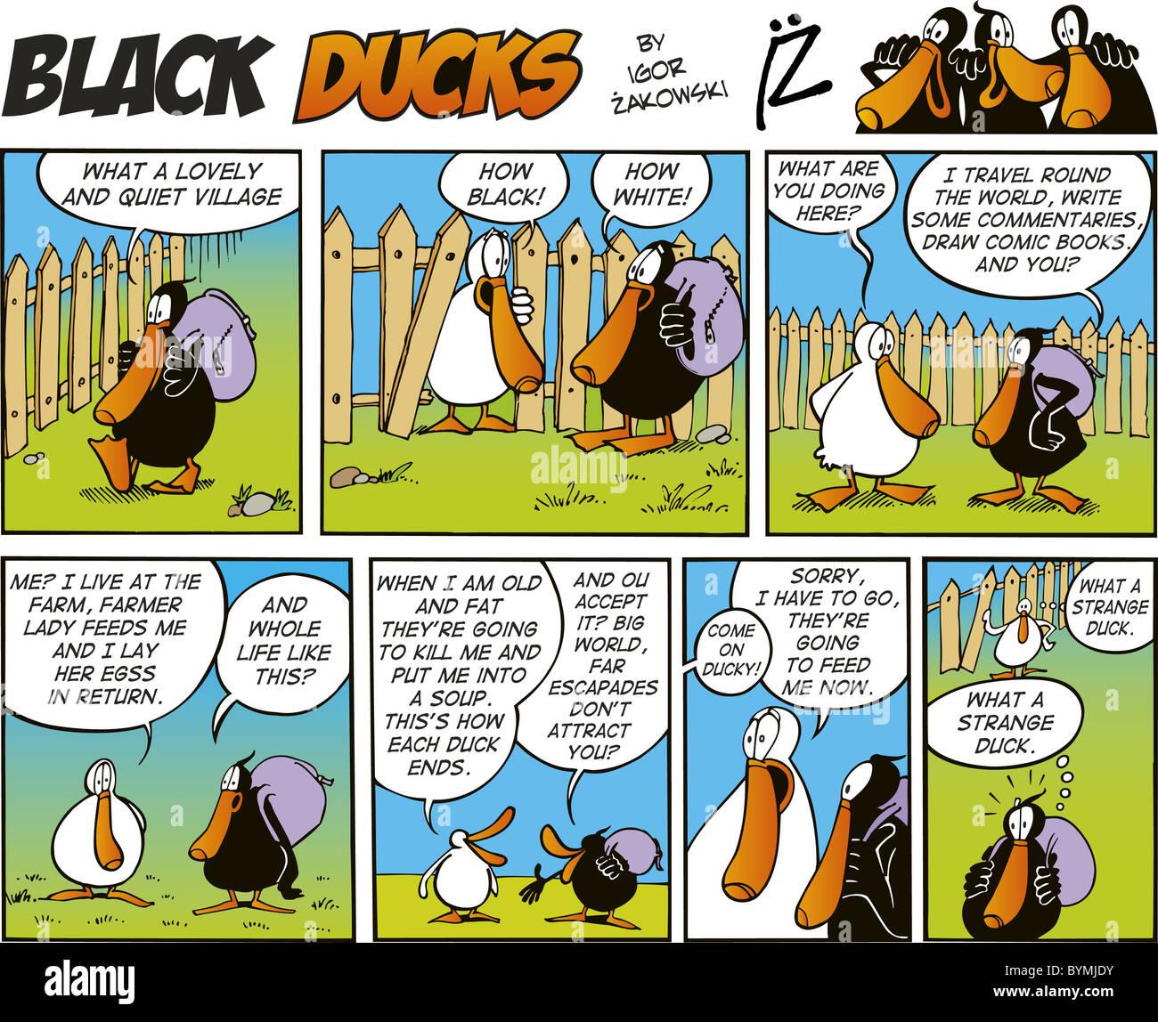 Black Ducks Comic Strip episode 4 Stock Photo