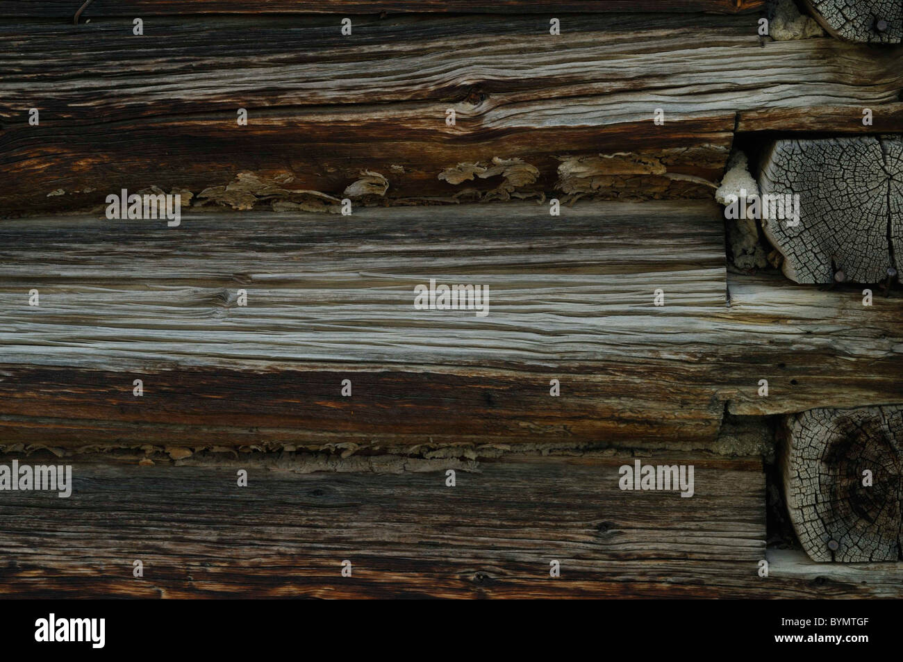 Log Cabin Barn Chinking Salmon Idaho Stock Photo 34264399 Alamy