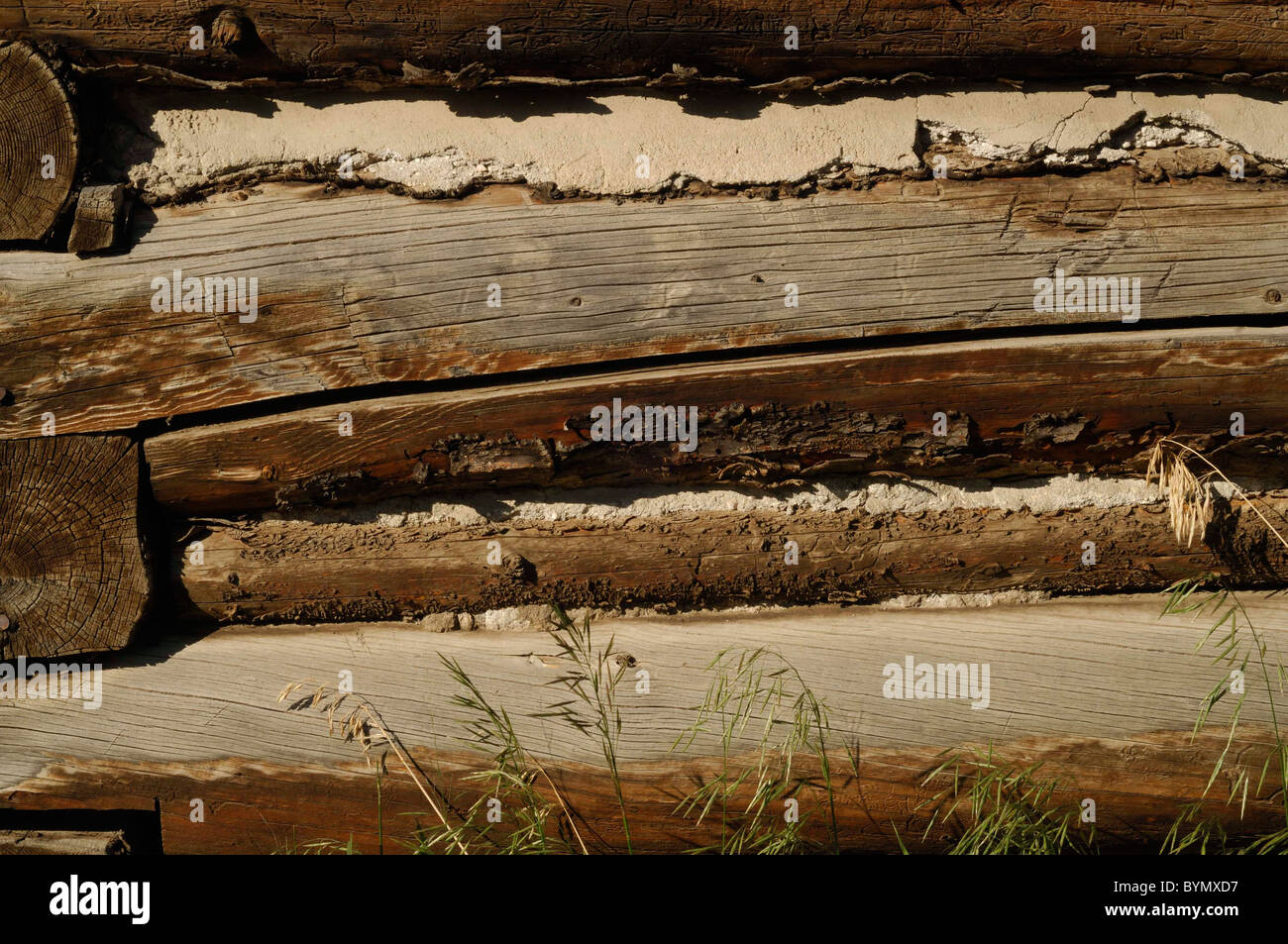 Log Cabin Barn Chinking Salmon Idaho Stock Photo 34265875 Alamy