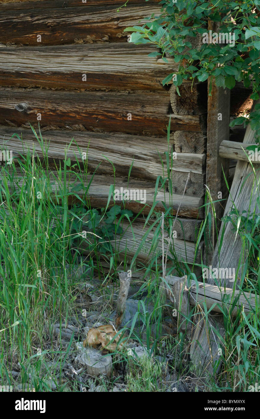 Log Cabin, barn, Salmon, Idaho Stock Photo Alamy