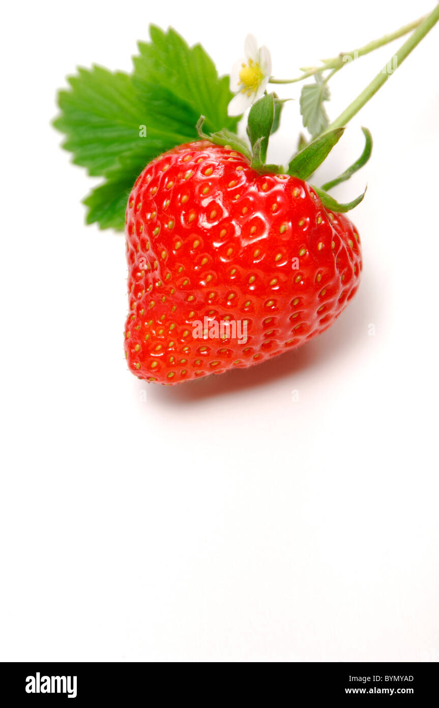 Healthy food drinks strawberry hi-res stock photography and images - Alamy