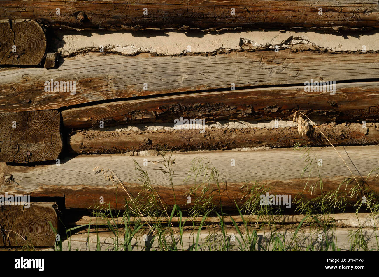 Log Cabin, barn, chinking, Salmon, Idaho Stock Photo Alamy