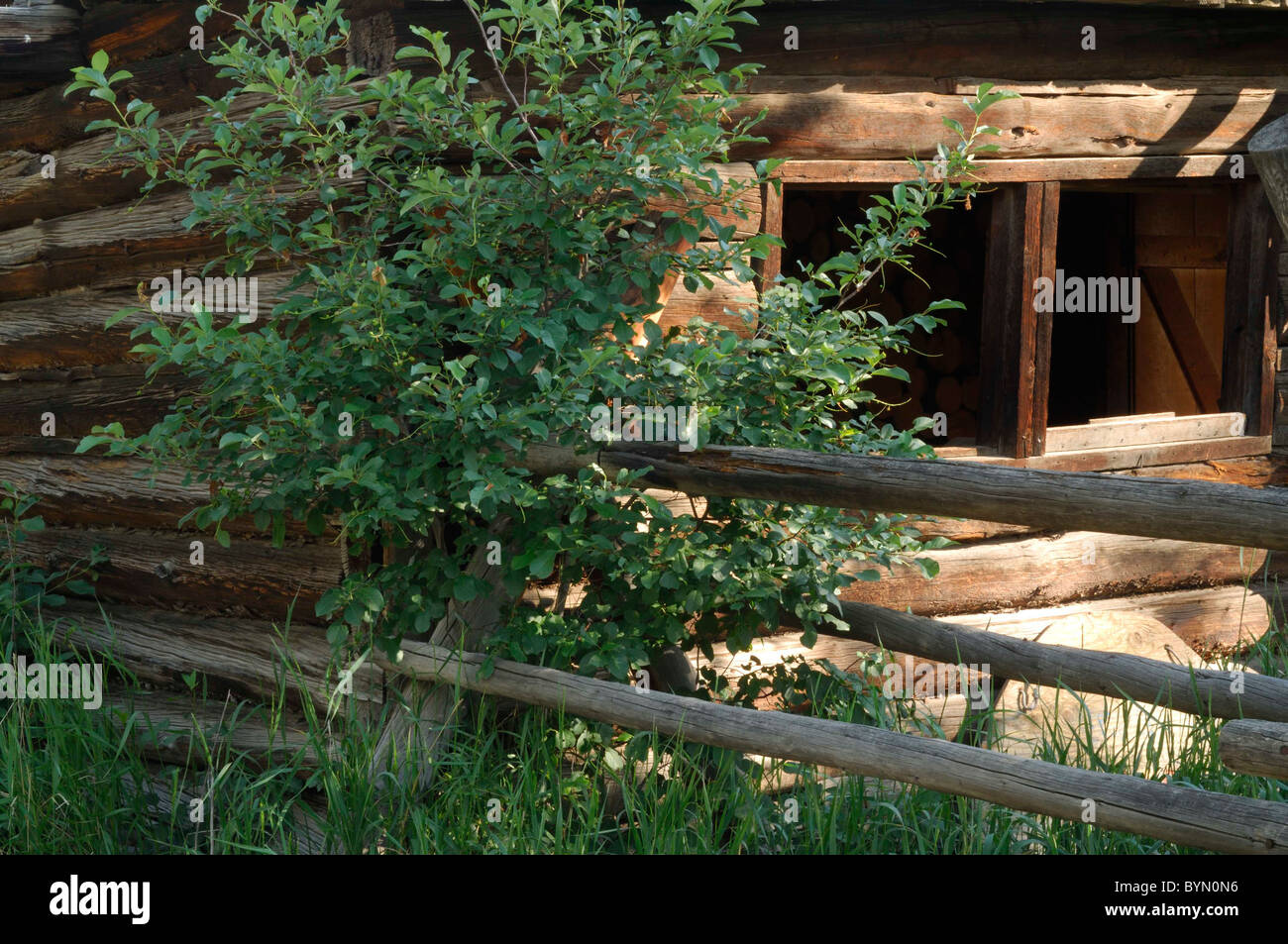 Log Cabin, barn, Salmon, Idaho Stock Photo Alamy