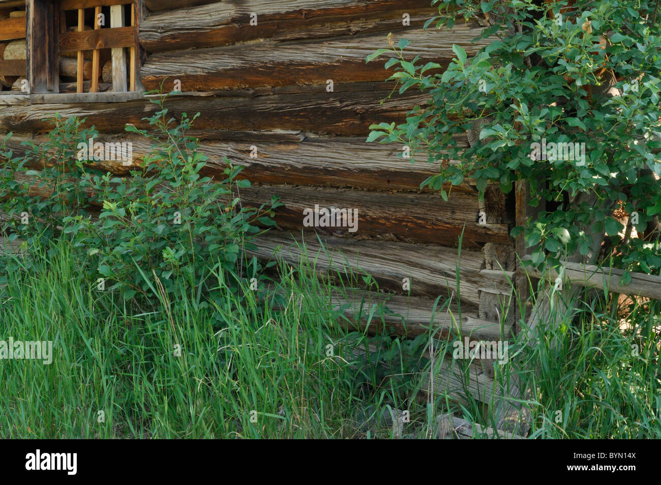 Log Cabin, barn, Salmon, Idaho Stock Photo Alamy