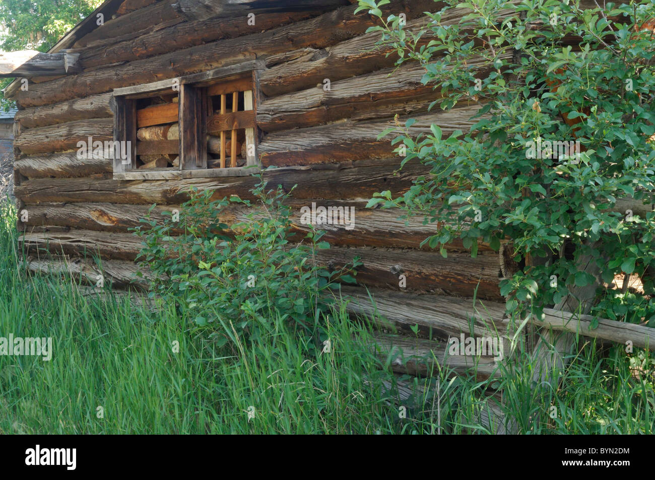 Log Cabin, barn, Salmon, Idaho Stock Photo Alamy