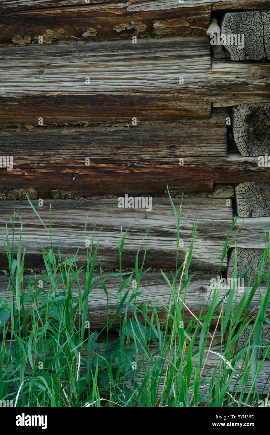 Log Cabin Barn Chinking Salmon Idaho Stock Photo 34269605 Alamy