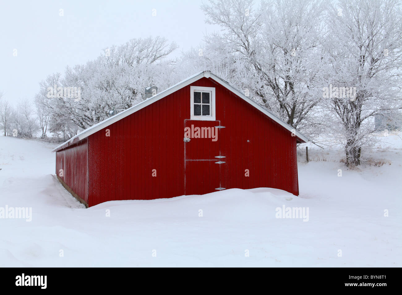 Front of old red barn with window in winter in Iowa Stock Photo - Alamy