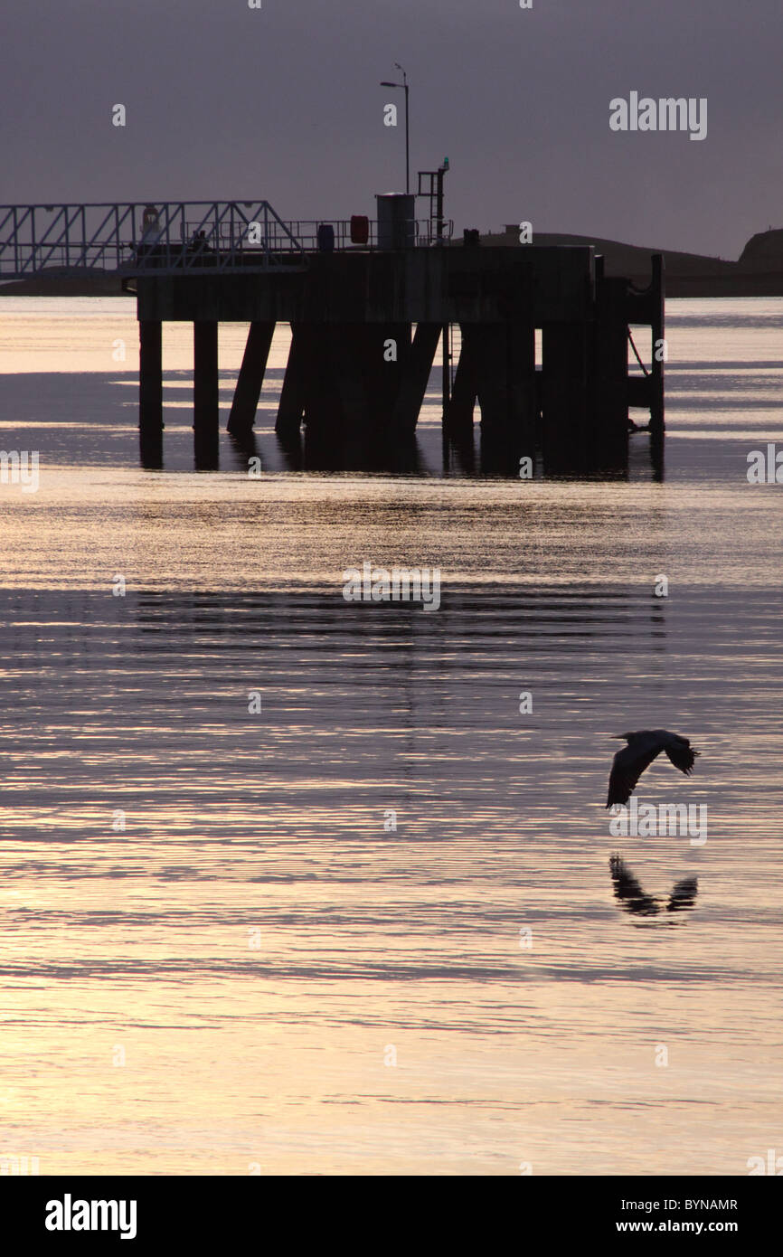 Swooping hi-res stock photography and images - Alamy