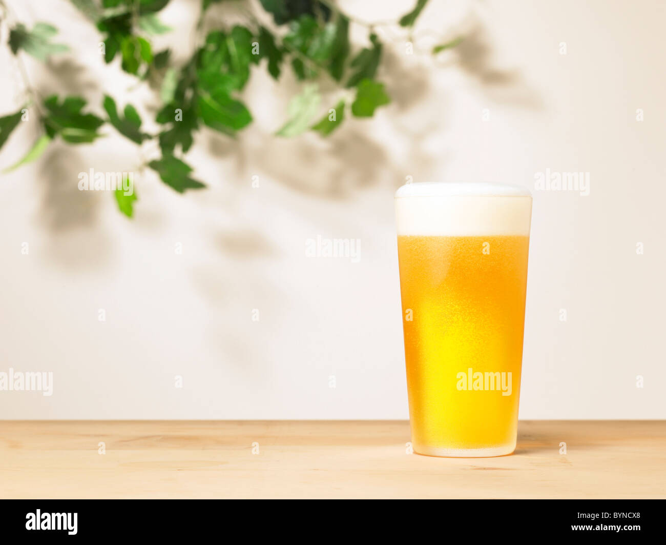 Lager Stock Photo