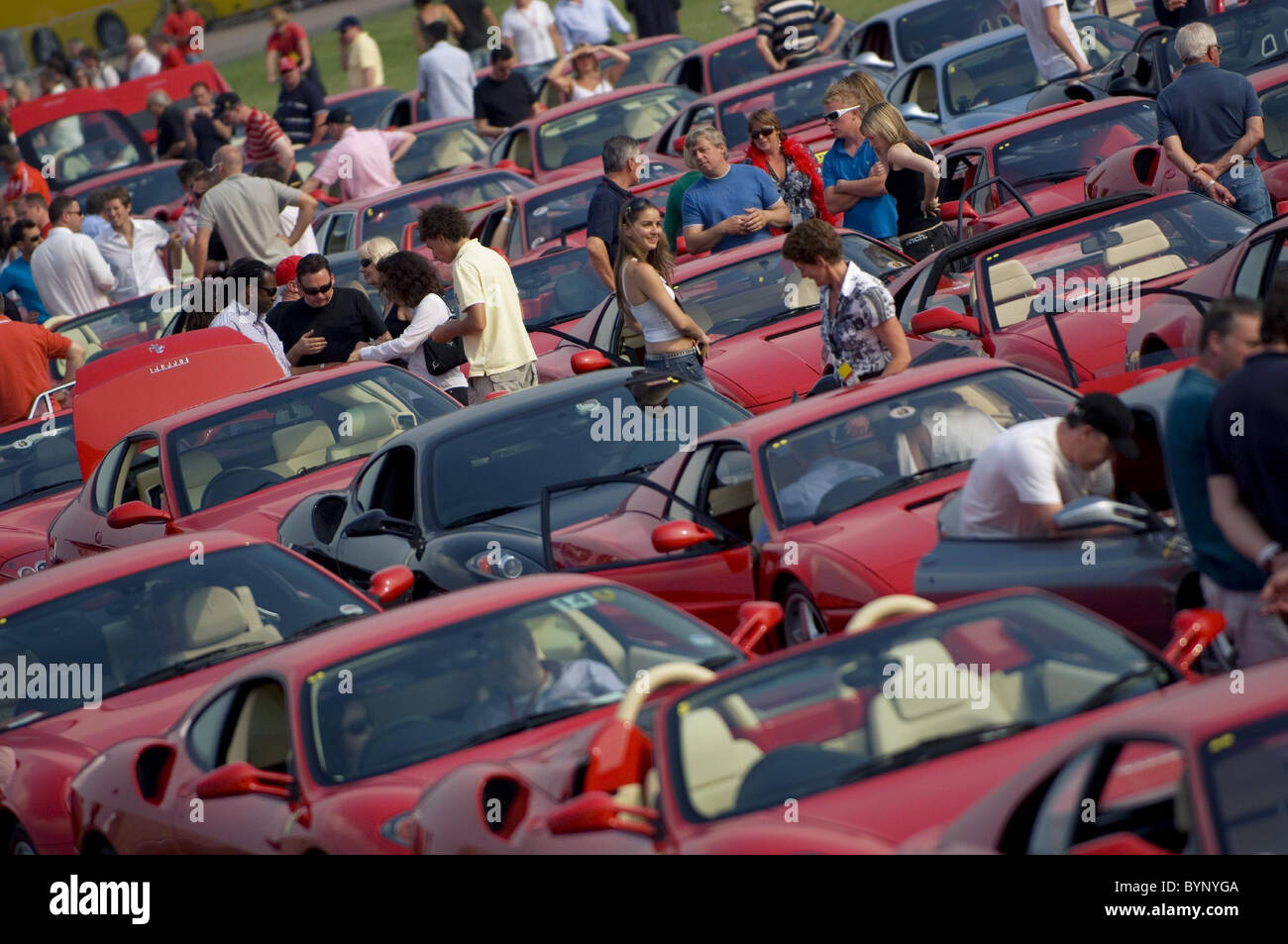 * FERRARI RACES INTO THE RECORD BOOKS Car giant Ferrari has powered