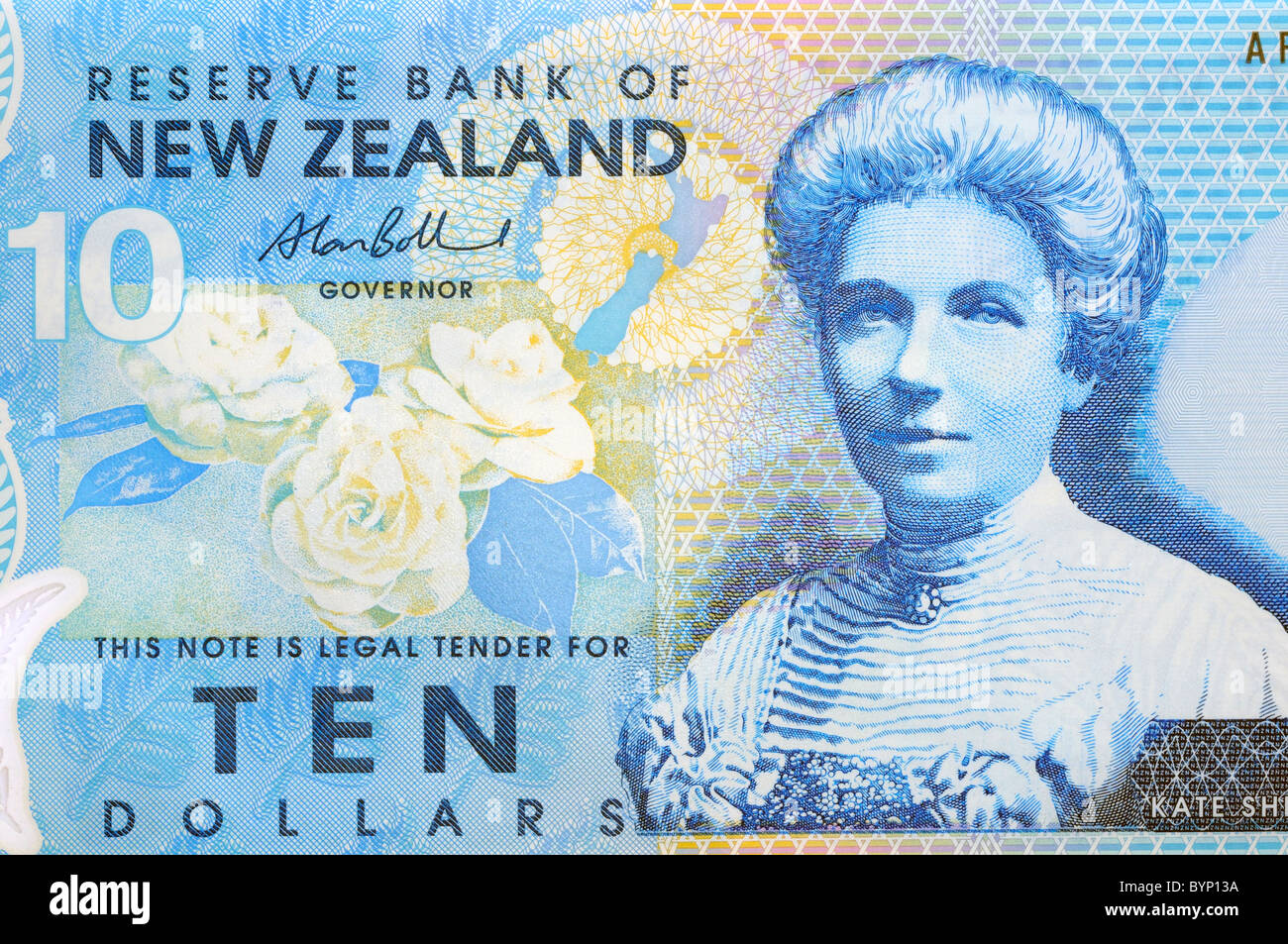 New Zealand Ten 10 Dollar Note. Stock Photo