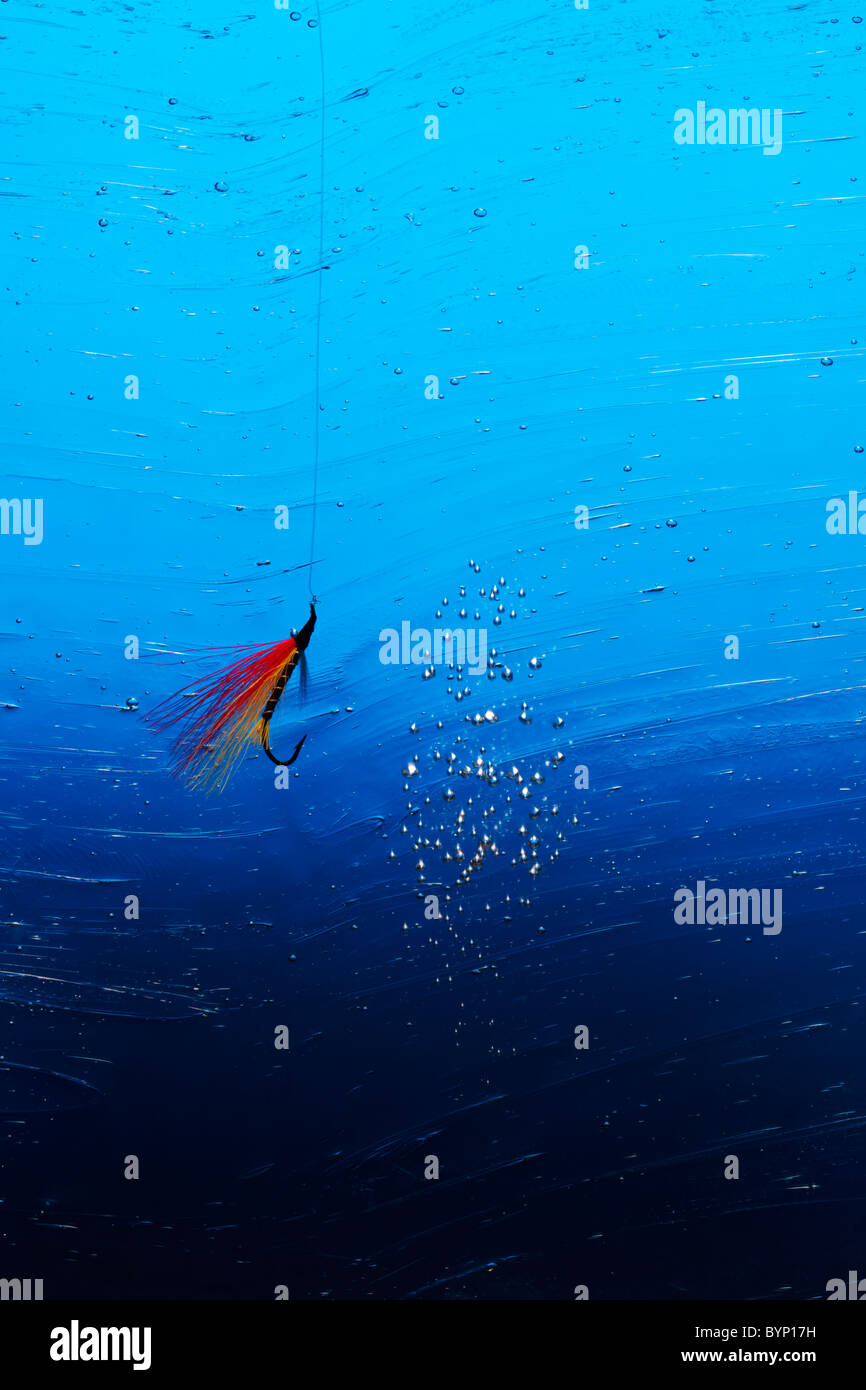 Fly Fishing Hook in Water Stock Photo Alamy