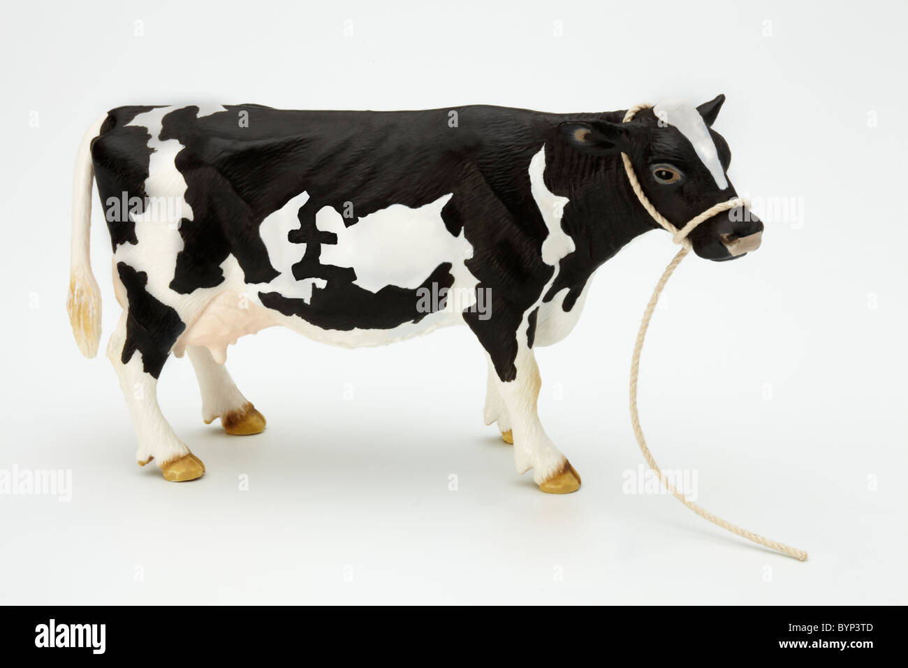 Cow Cash Cow Stock Photo Alamy