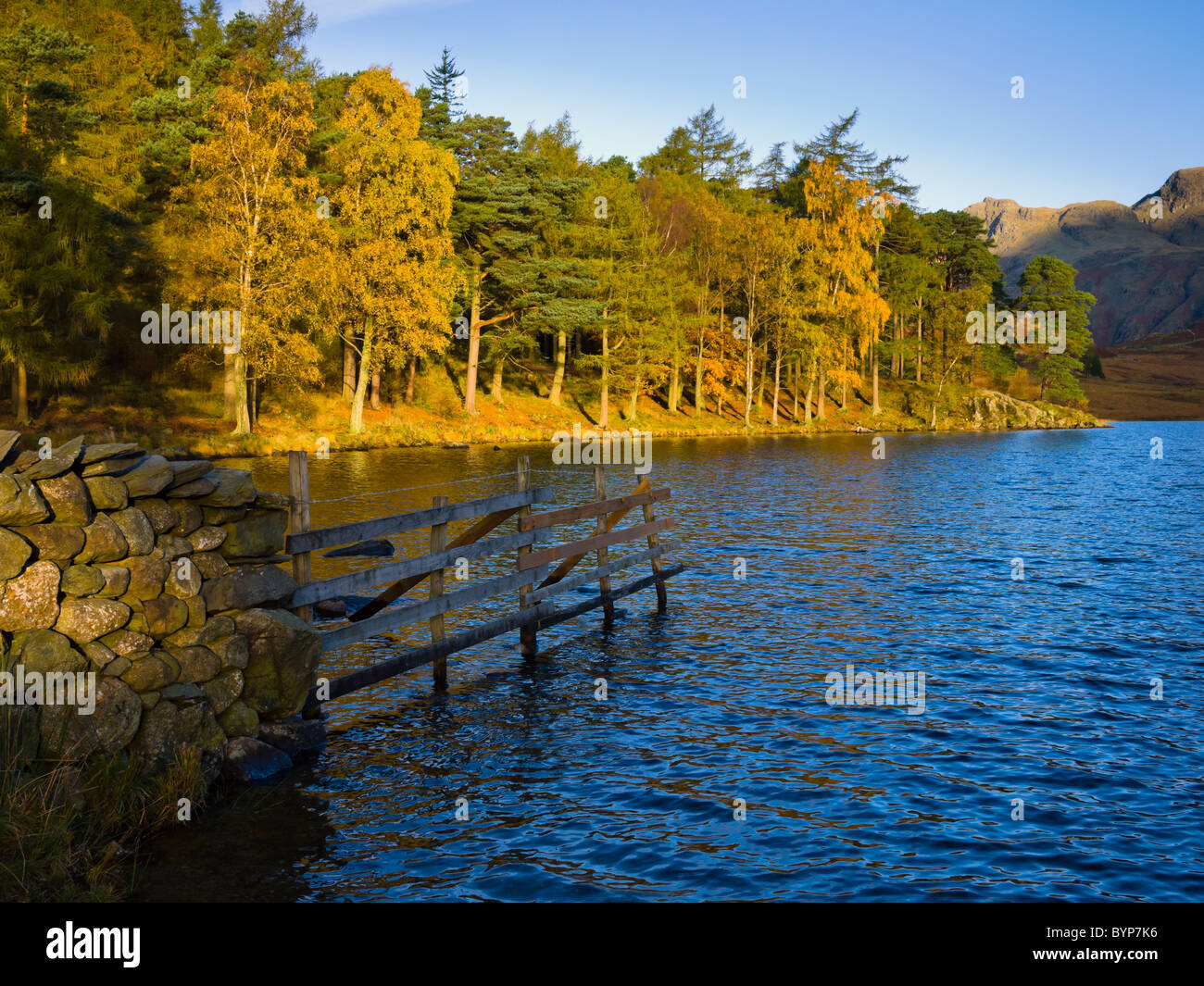 Autumn morning sunlight over Blea Tarn in the Lake District National Park near Little Langdale, Cumbria, England. Stock Photo