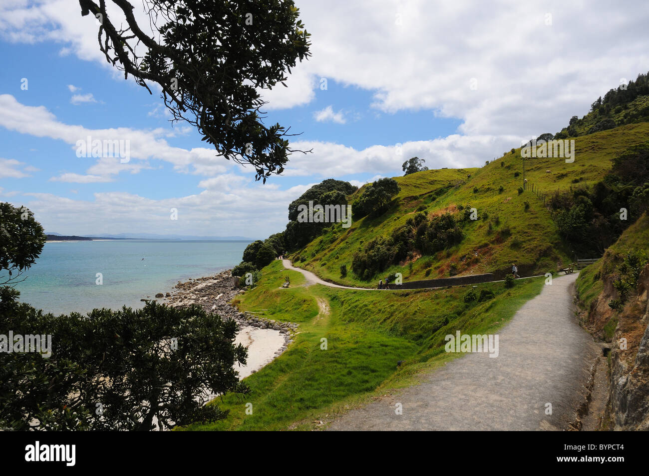 Footpath around Mount Maunganui in New Zealand Stock Photo - Alamy
