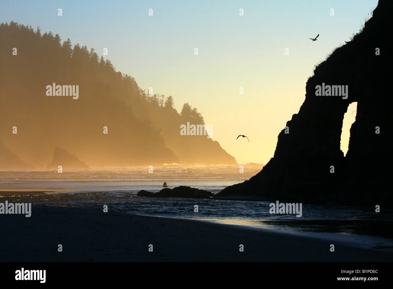 Ocean beach and shore with steep cliffs and ridges, and seagulls flying, slightly hazy.  One cliff has a see though rock arch. Stock Photo