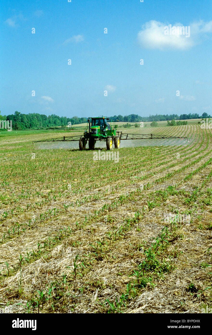 Application of post emergence herbicide to a field of no-till early growth grain corn growing in wheat stubble / Tennessee, USA. Stock Photo