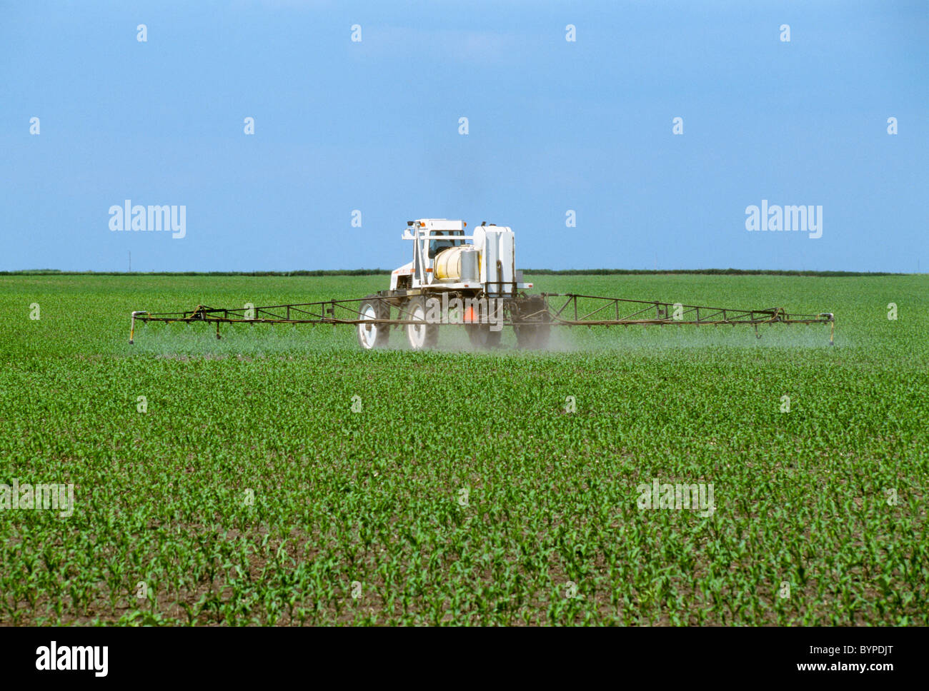 Chemical application, applying herbicide on an early growth grain corn