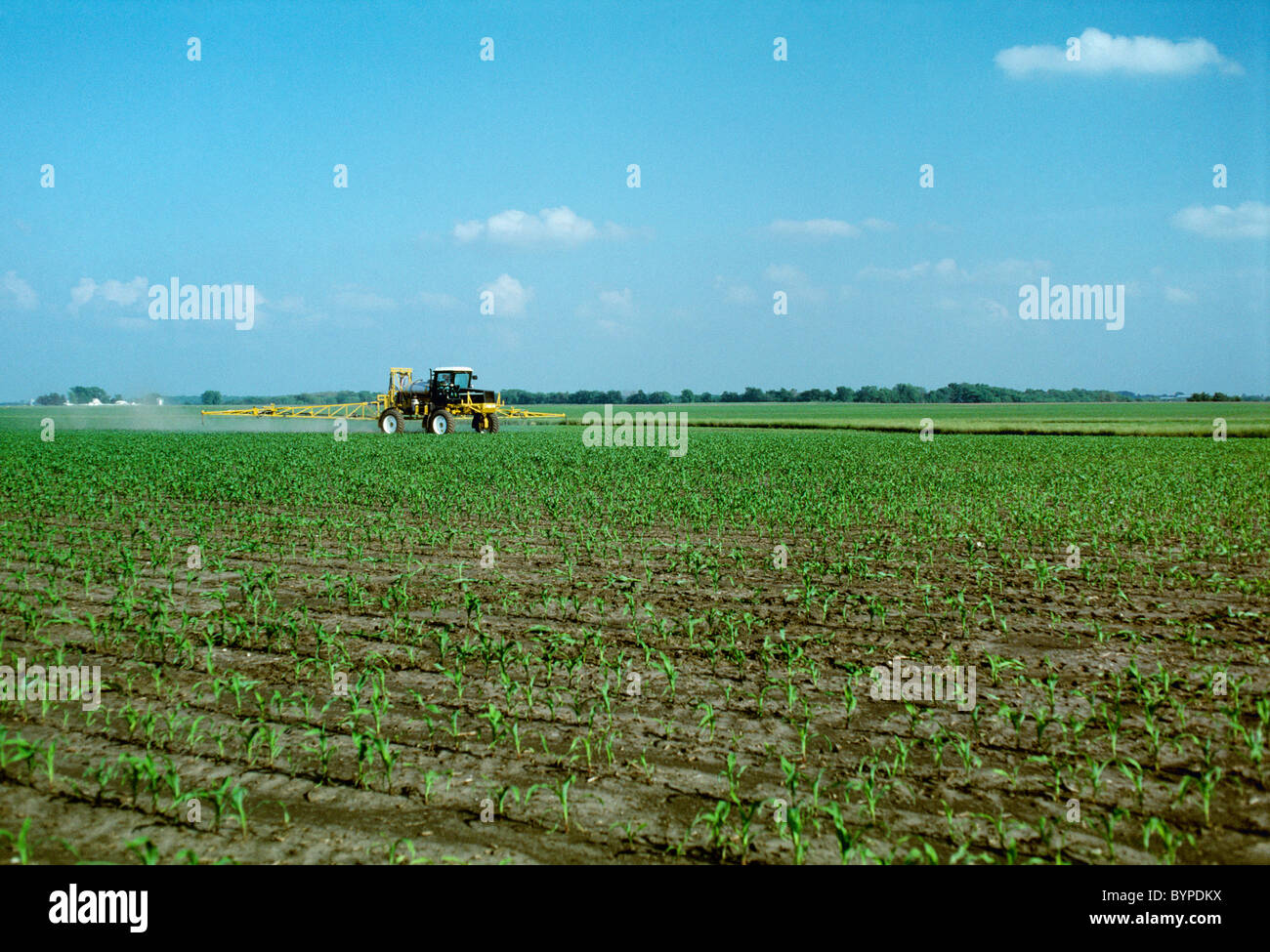Agriculture A self contained spray vehicle applies post emergence herbicide on an early growth