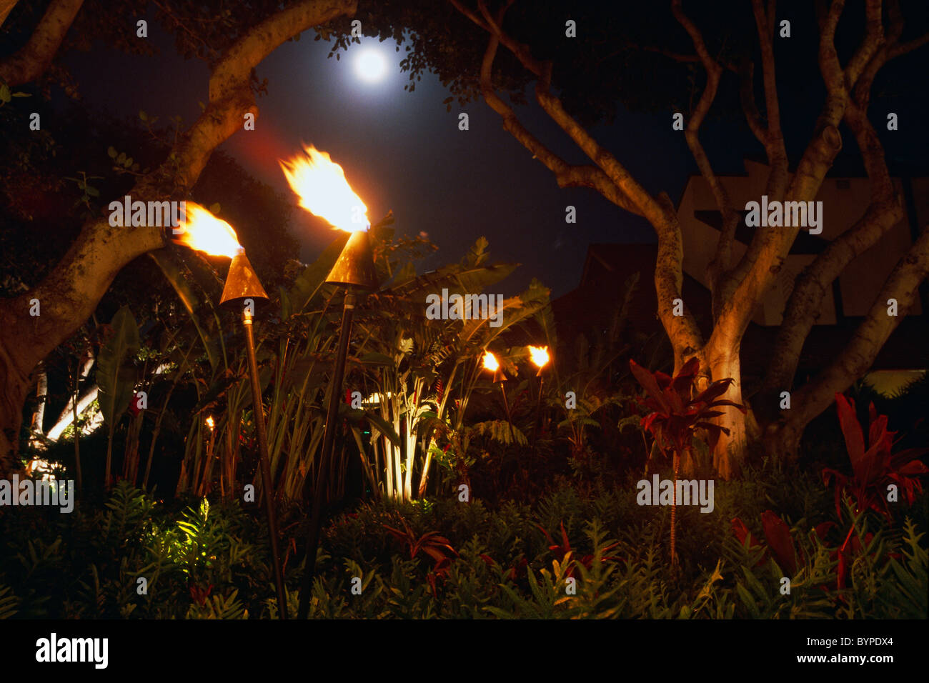 Hawaii Garden with Lit Torches, Maui, Hawaii, USA Stock Photo