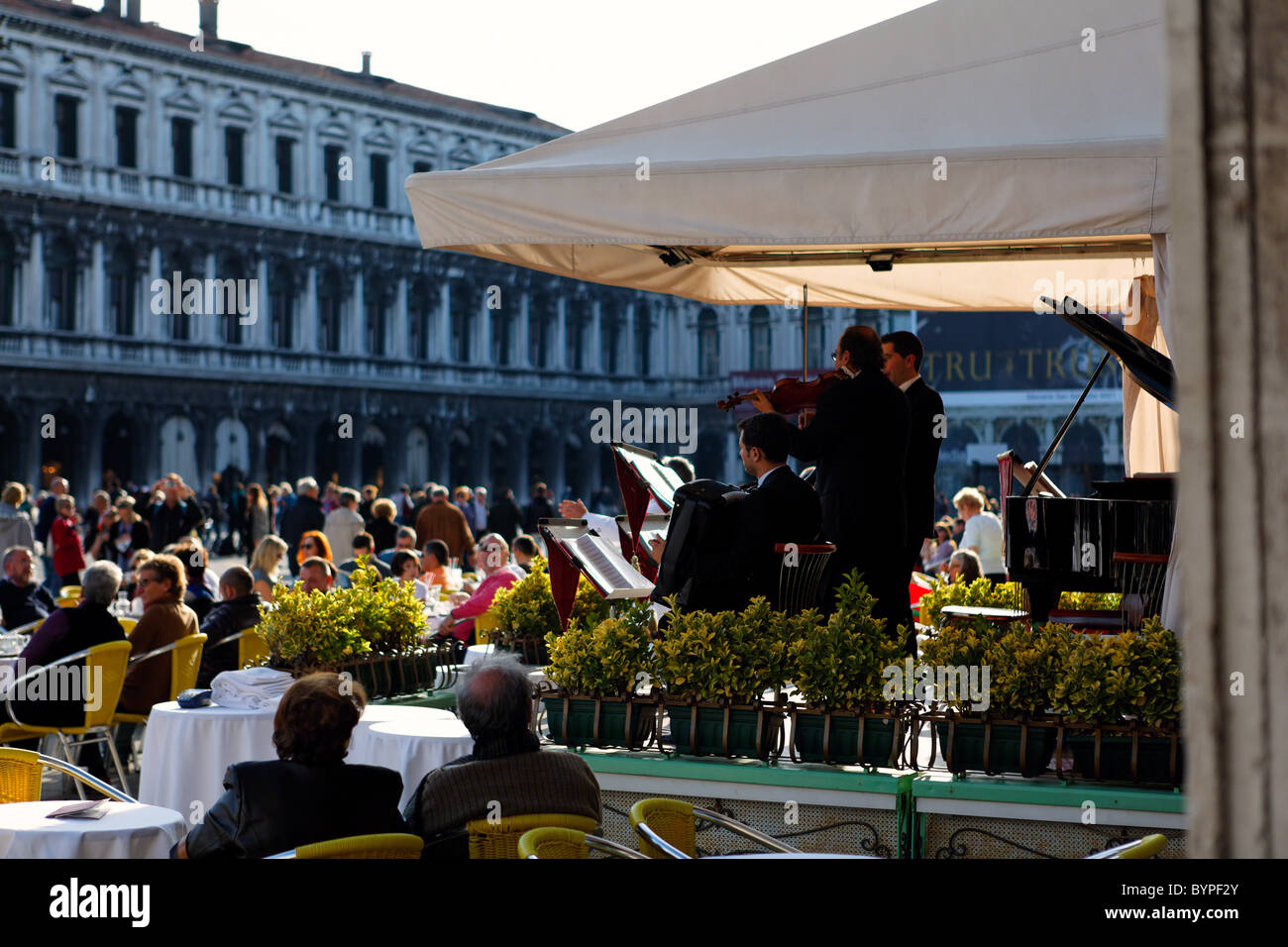 Musicians Playing at an Outdoor Café, St Mark's Square, Venice, Italy Stock Photo